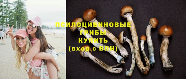 прущая мука Долгопрудный