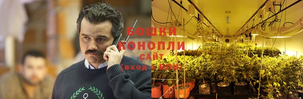 COCAINE Майский